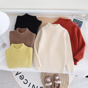 Thick Turtleneck Knitted Long Sleeves